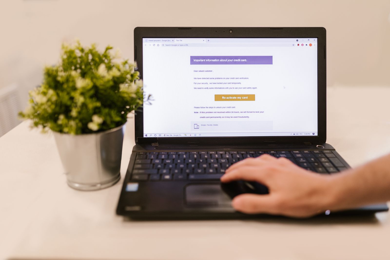 A person reading an email on a laptop at a table beside a plant